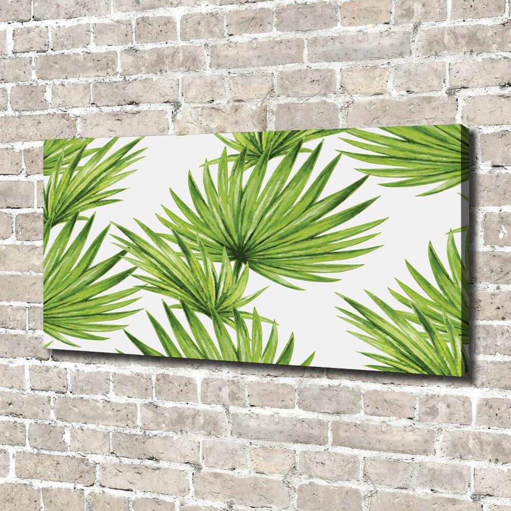 Tableau mural sur toile Feuilles tropicales éventail