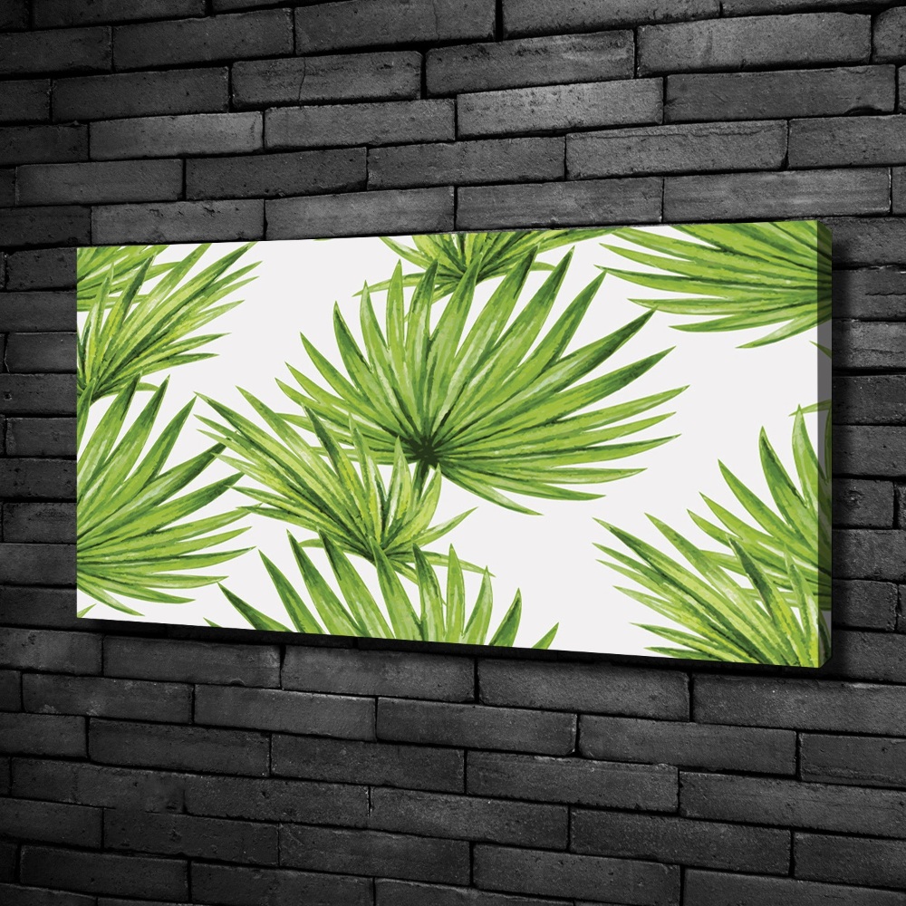 Tableau mural sur toile Feuilles tropicales éventail