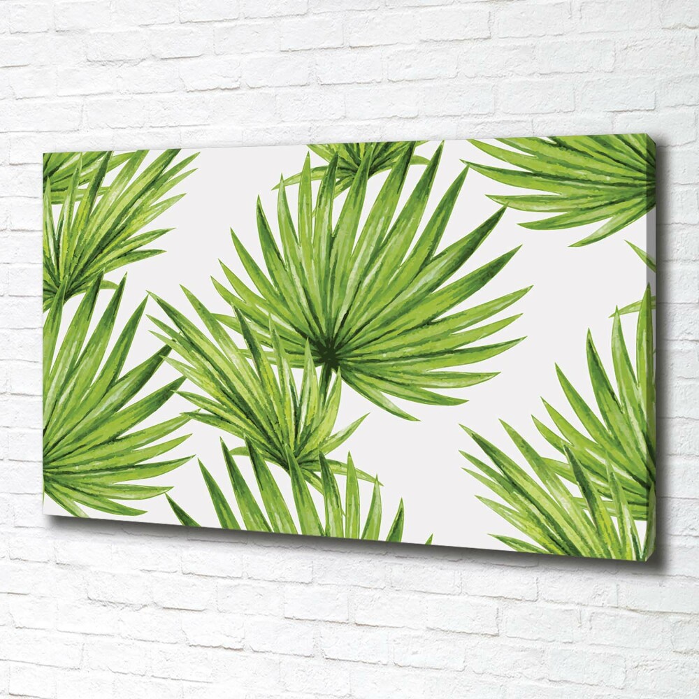 Tableau mural sur toile Feuilles tropicales éventail