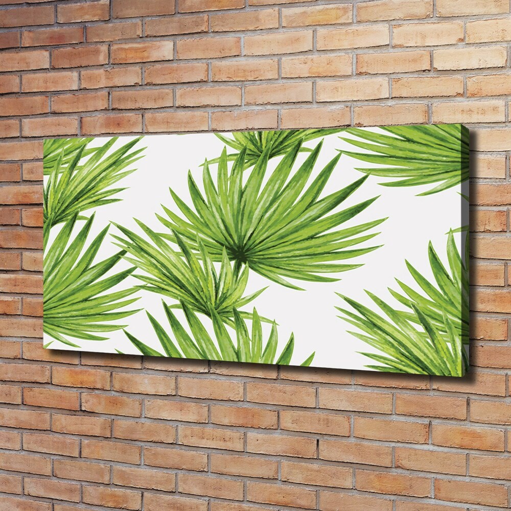 Tableau mural sur toile Feuilles tropicales éventail