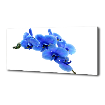 Tableau photo sur toile Orchidée bleue