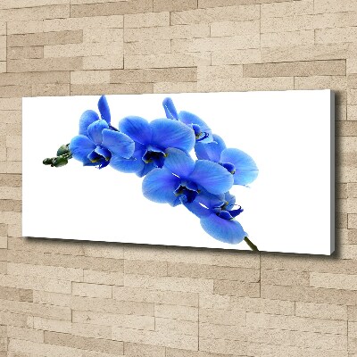 Tableau photo sur toile Orchidée bleue