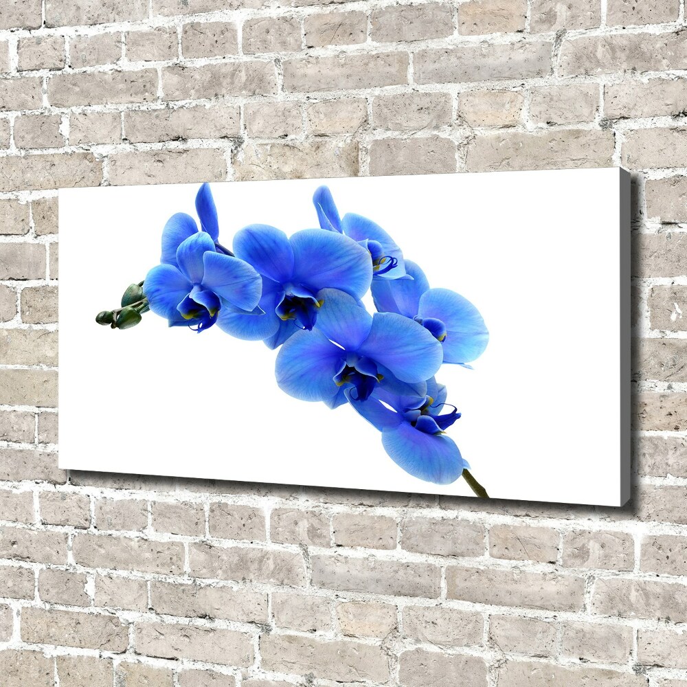 Tableau photo sur toile Orchidée bleue