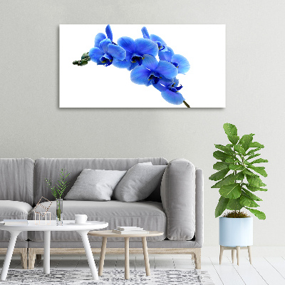 Tableau photo sur toile Orchidée bleue