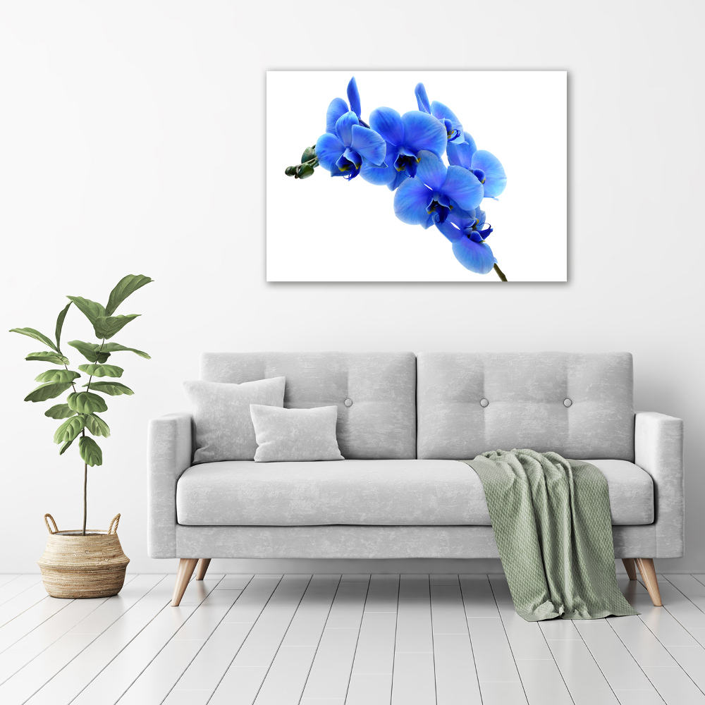 Tableau photo sur toile Orchidée bleue