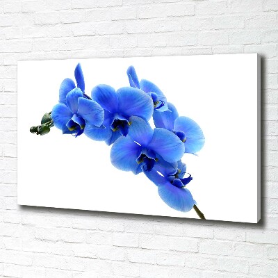 Tableau photo sur toile Orchidée bleue