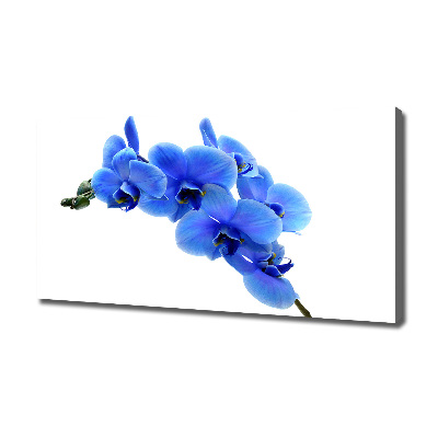 Tableau photo sur toile Orchidée bleue