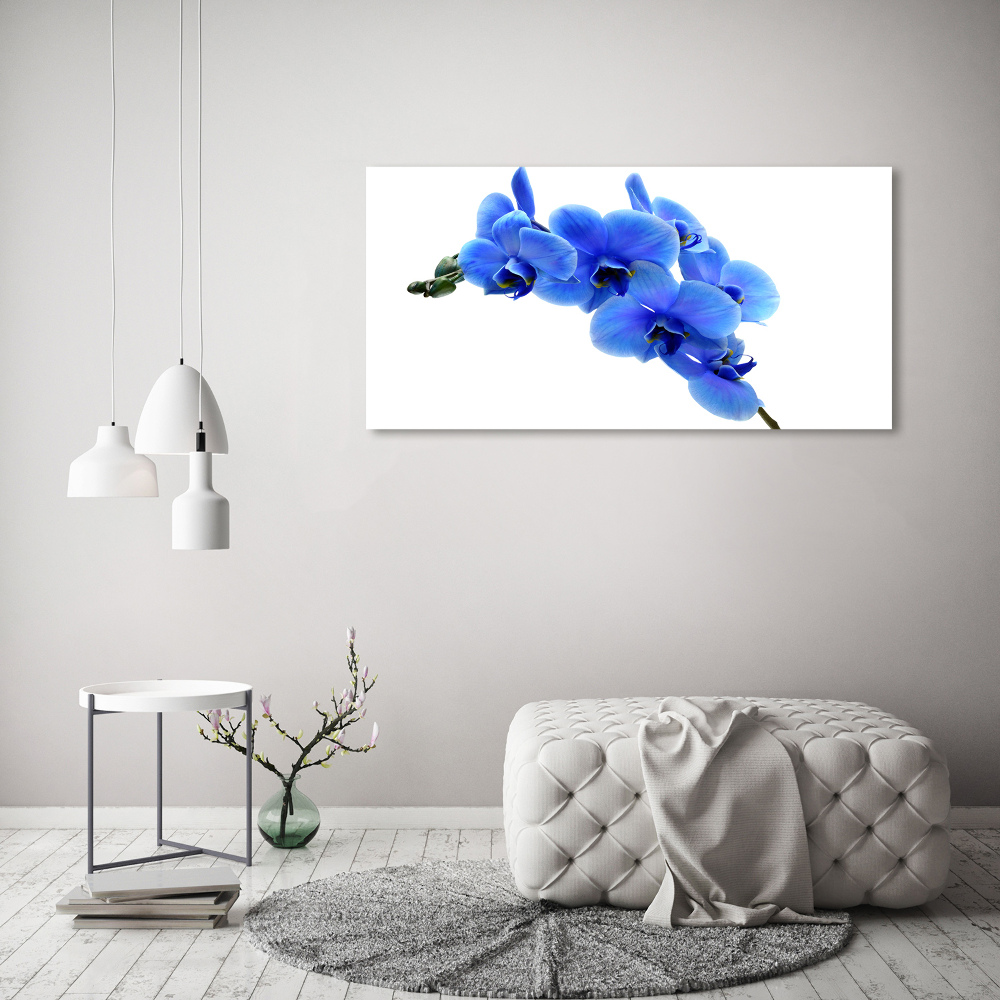 Tableau photo sur toile Orchidée bleue