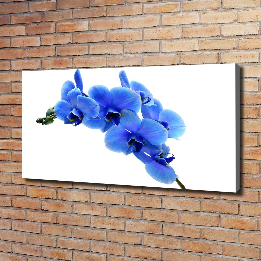 Tableau photo sur toile Orchidée bleue