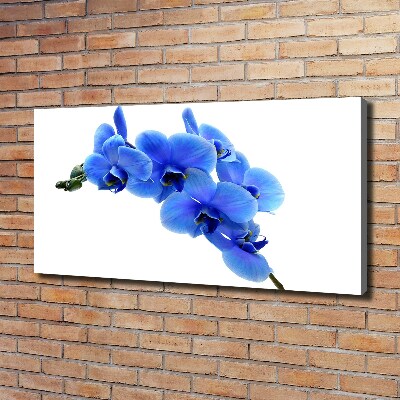 Tableau photo sur toile Orchidée bleue