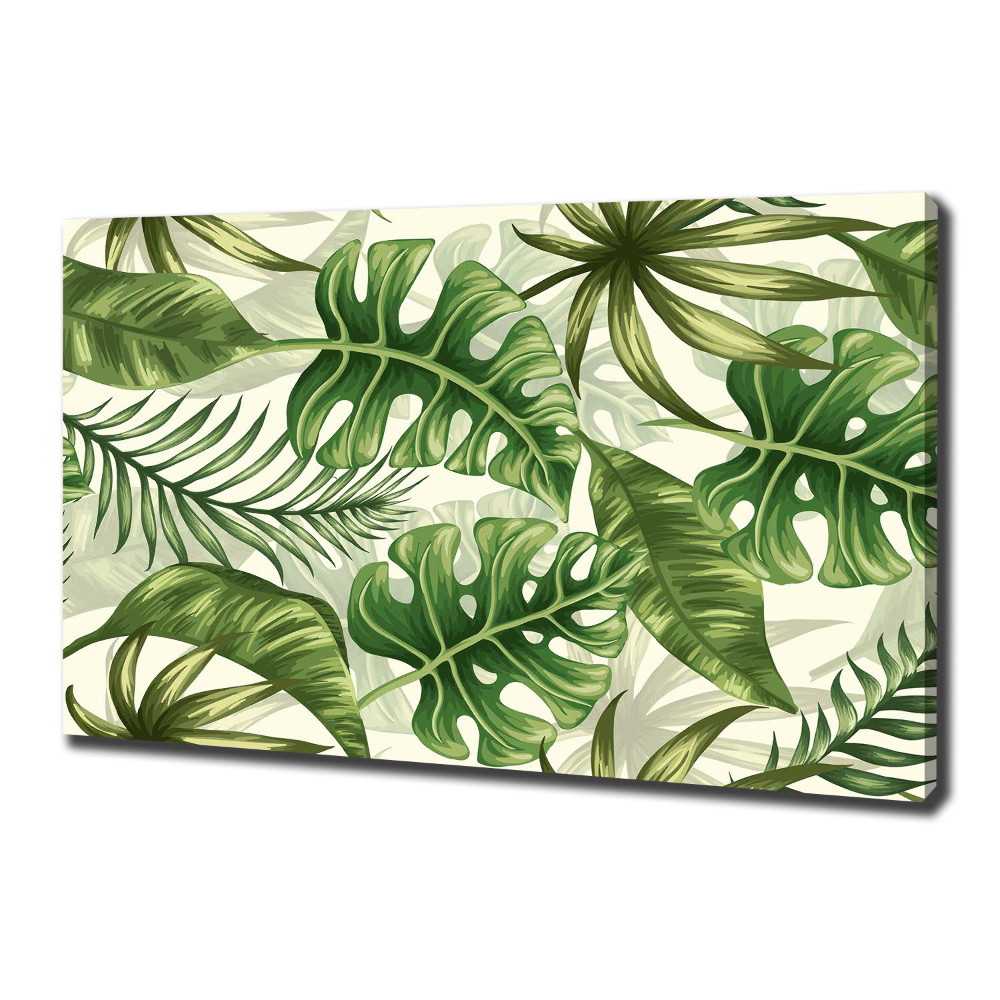 Tableau imprimé sur toile Feuilles tropicales