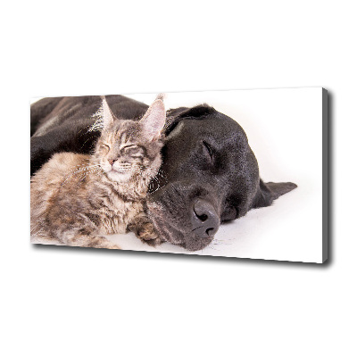 Tableau mural sur toile Chien et chat