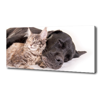 Tableau mural sur toile Chien et chat