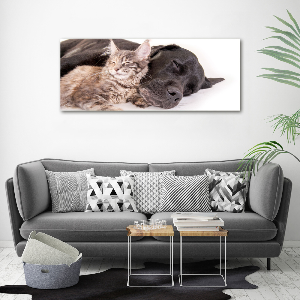 Tableau mural sur toile Chien et chat