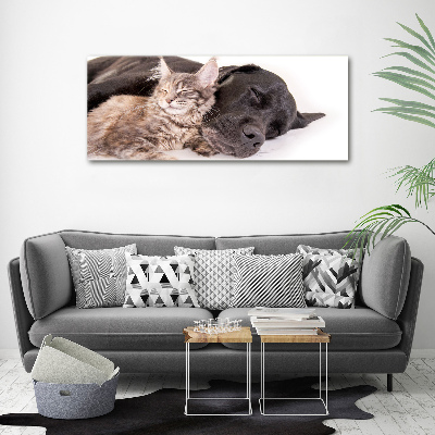 Tableau mural sur toile Chien et chat