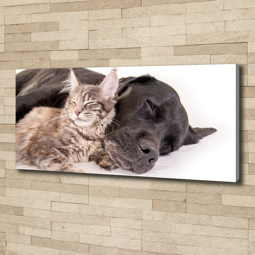 Tableau mural sur toile Chien et chat