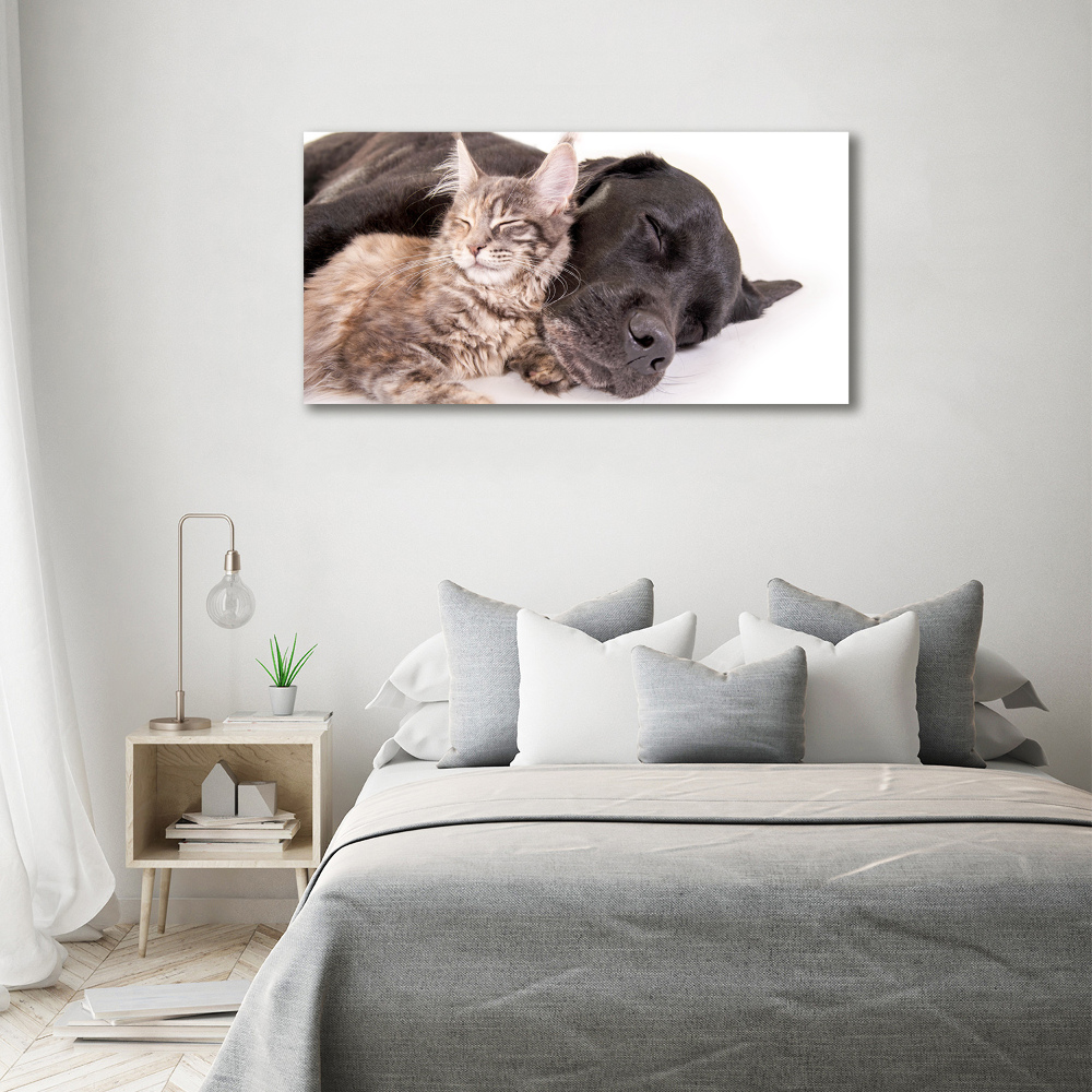 Tableau mural sur toile Chien et chat