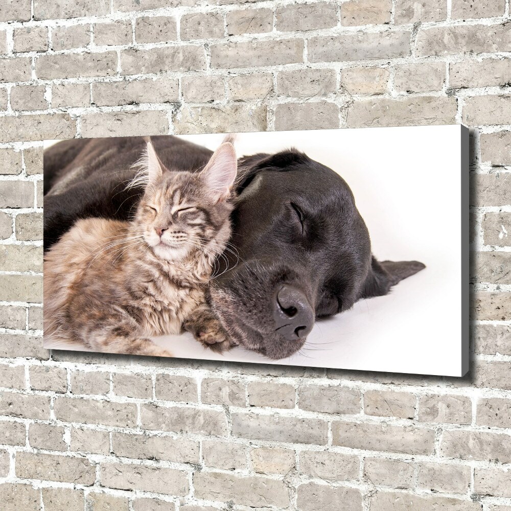 Tableau mural sur toile Chien et chat