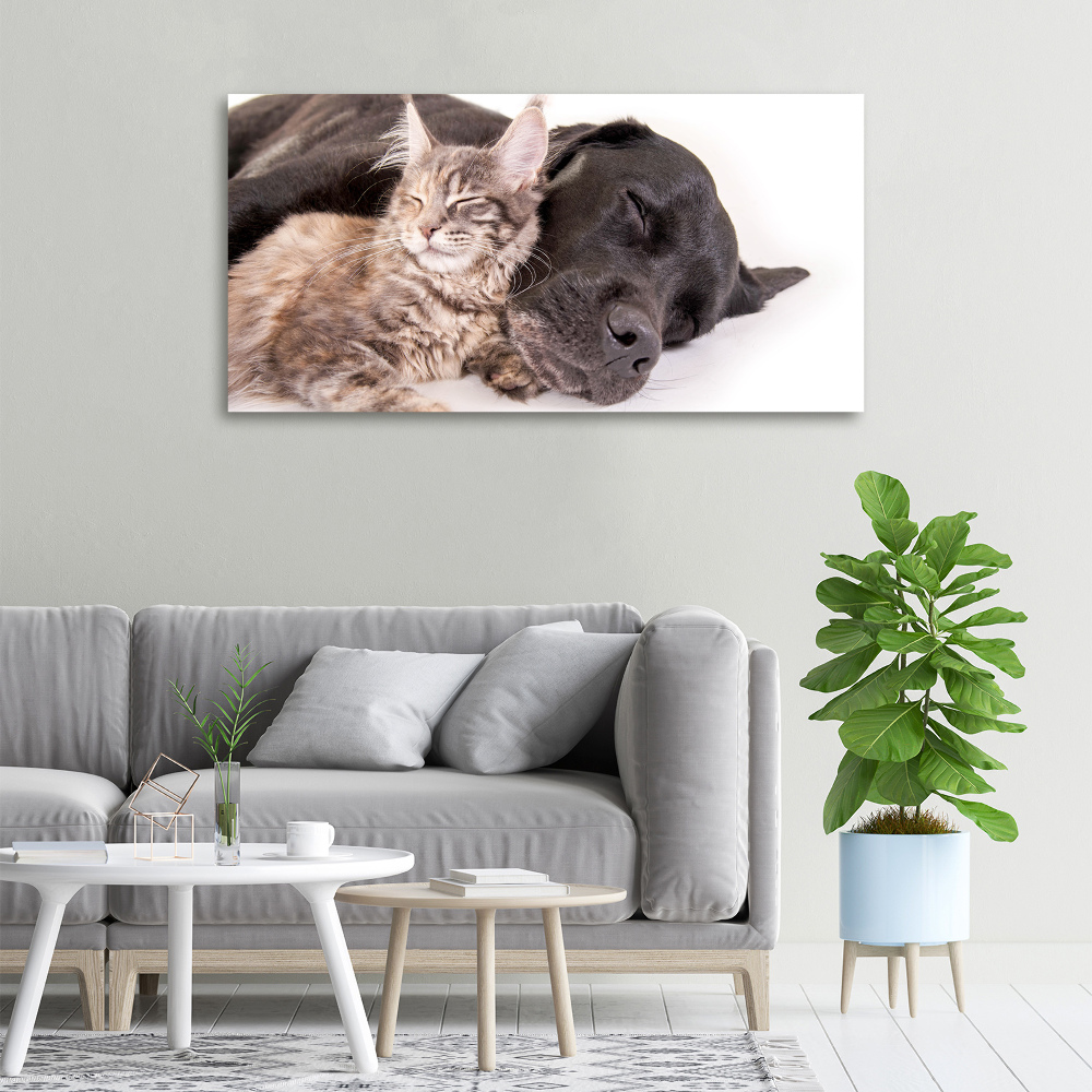 Tableau mural sur toile Chien et chat