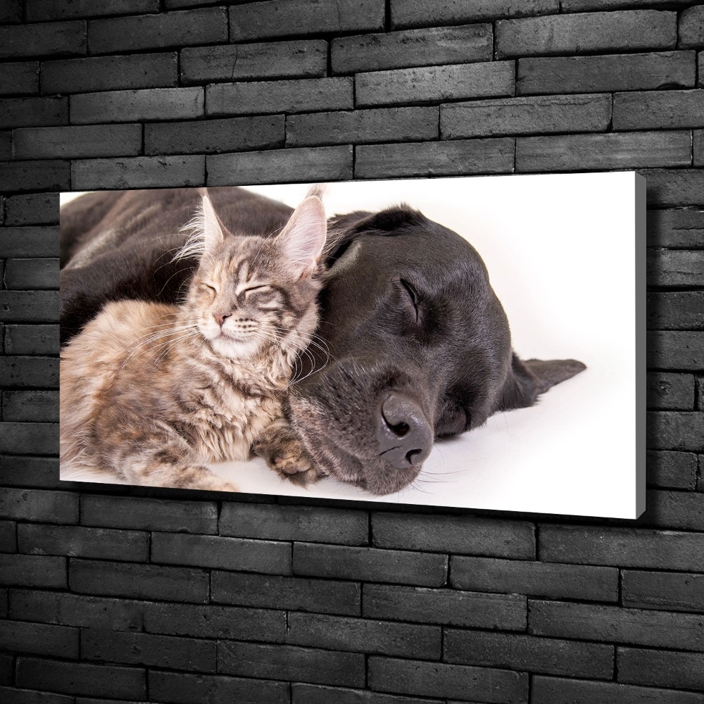 Tableau mural sur toile Chien et chat