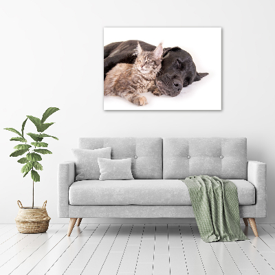 Tableau mural sur toile Chien et chat