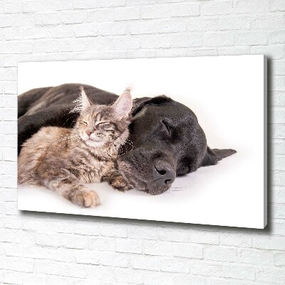 Tableau mural sur toile Chien et chat