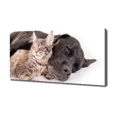 Tableau mural sur toile Chien et chat