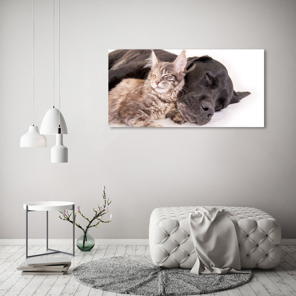 Tableau mural sur toile Chien et chat