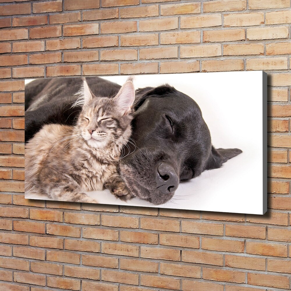 Tableau mural sur toile Chien et chat