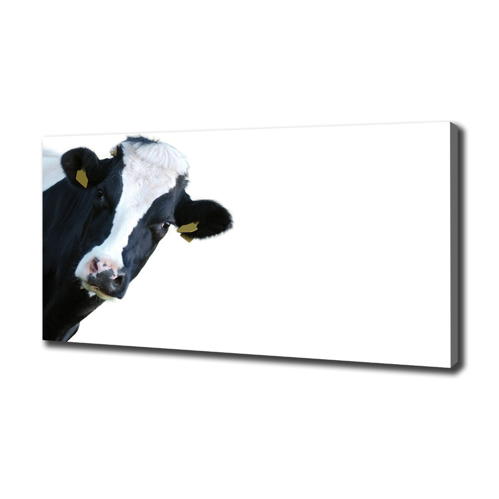 Tableau mural sur toile Vache