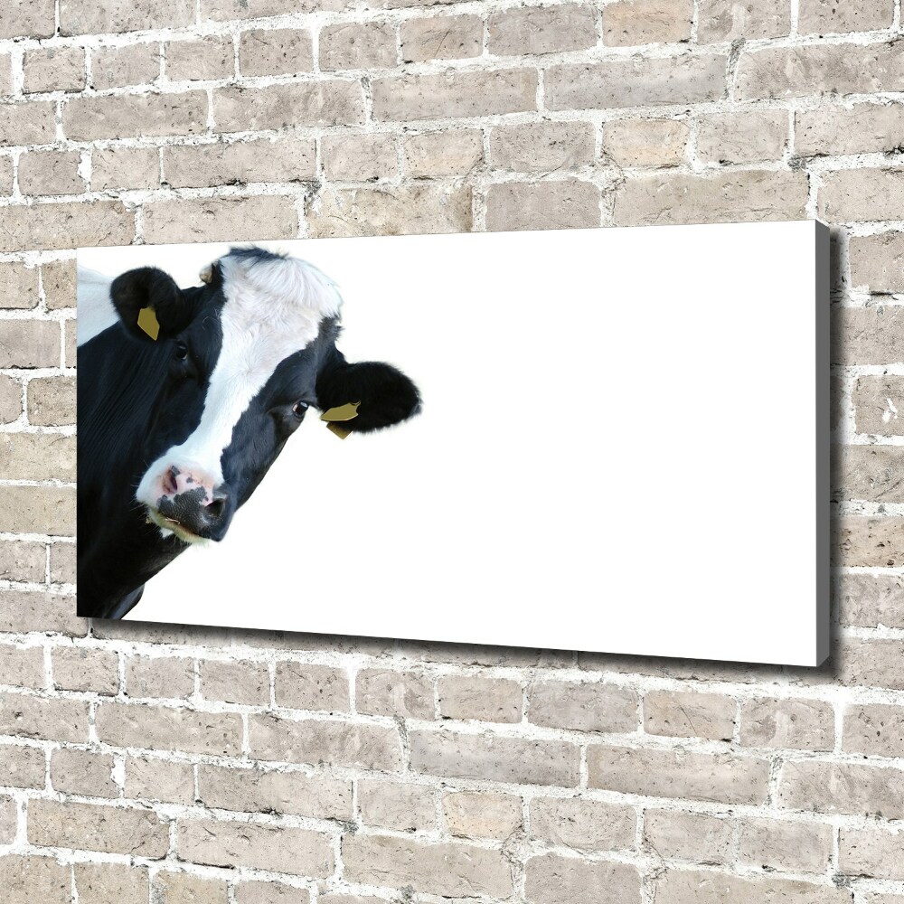 Tableau mural sur toile Vache