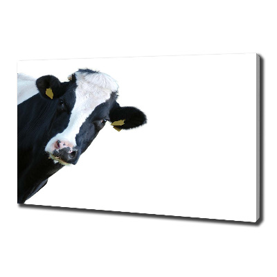 Tableau mural sur toile Vache