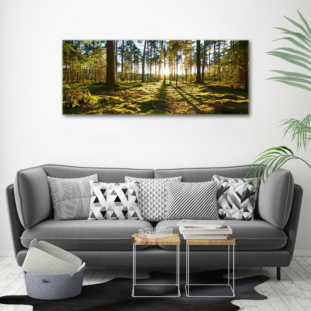 Tableau sur toile Forêt de pins