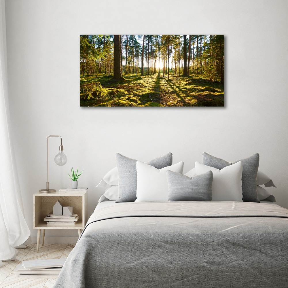 Tableau sur toile Forêt de pins