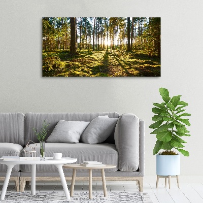 Tableau sur toile Forêt de pins