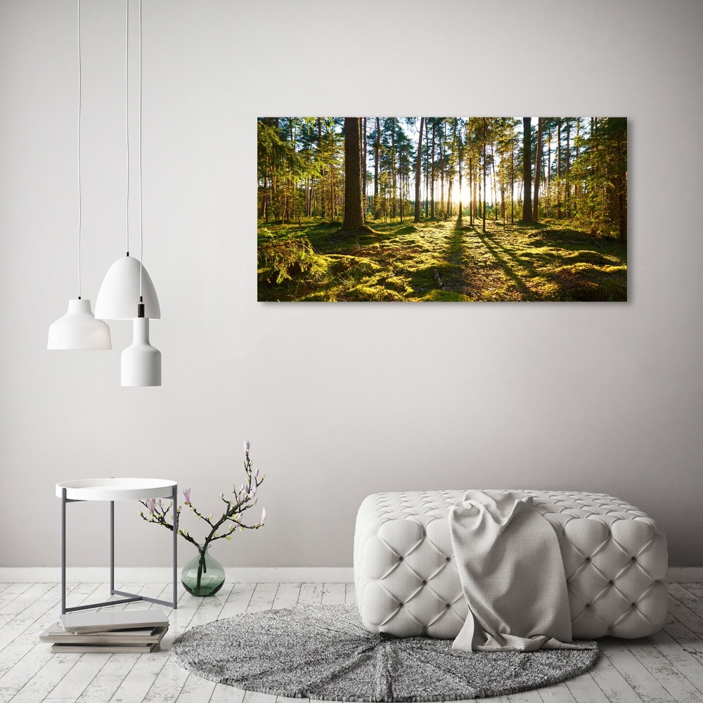 Tableau sur toile Forêt de pins