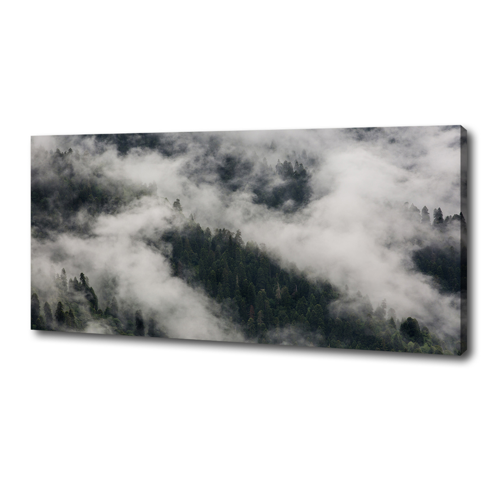 Tableau toile imprimée Brouillard sur la forêt