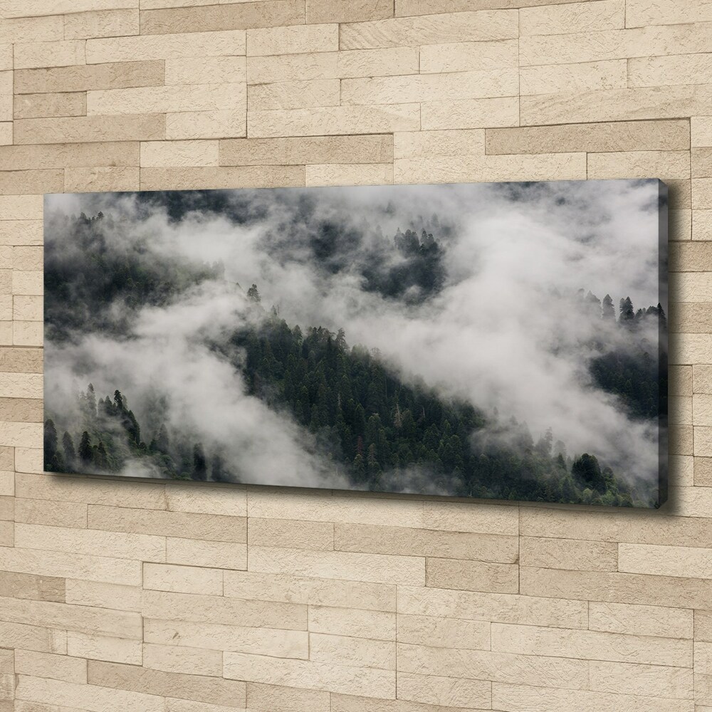 Tableau toile imprimée Brouillard sur la forêt