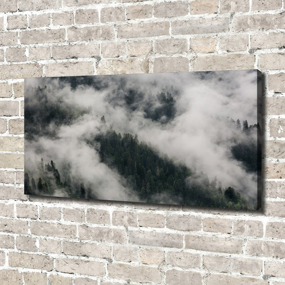 Tableau toile imprimée Brouillard sur la forêt