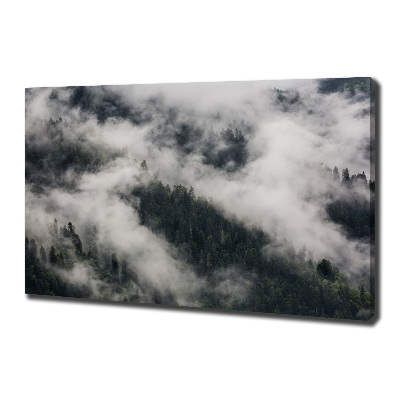 Tableau toile imprimée Brouillard sur la forêt