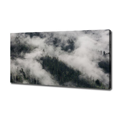 Tableau toile imprimée Brouillard sur la forêt