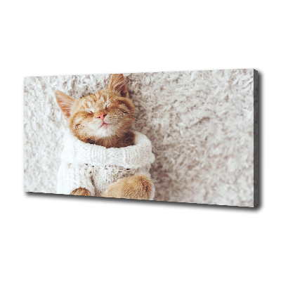 Tableau imprimé sur toile Chat en pull-over