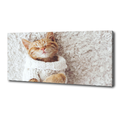 Tableau imprimé sur toile Chat en pull-over