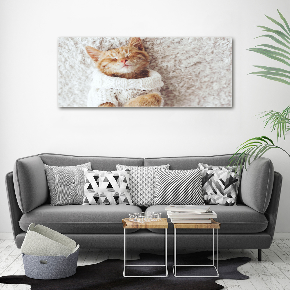 Tableau imprimé sur toile Chat en pull-over