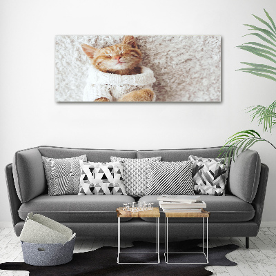 Tableau imprimé sur toile Chat en pull-over