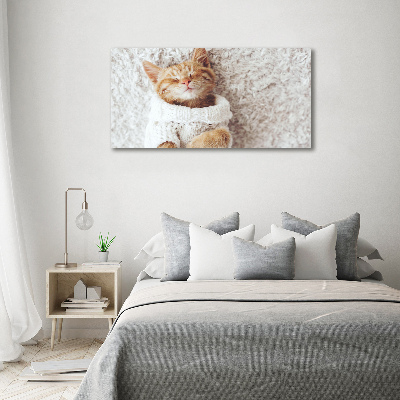 Tableau imprimé sur toile Chat en pull-over