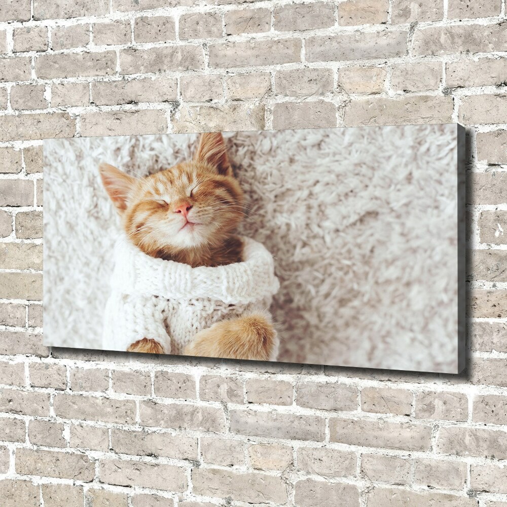 Tableau imprimé sur toile Chat en pull-over