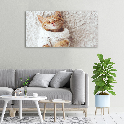 Tableau imprimé sur toile Chat en pull-over