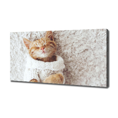 Tableau imprimé sur toile Chat en pull-over