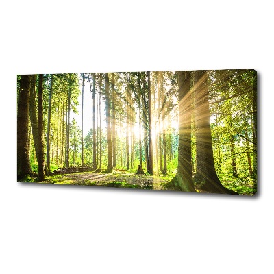 Tableau mural sur toile Forêt au soleil